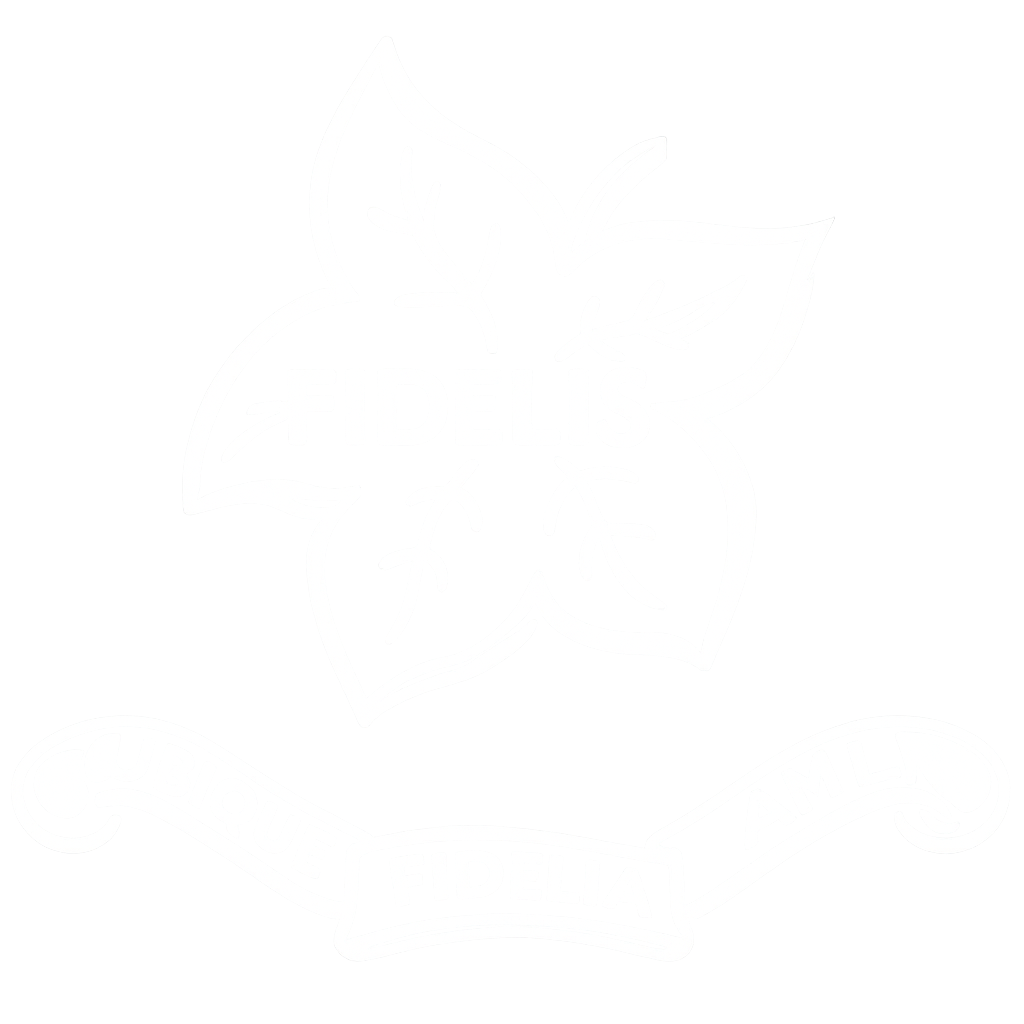 Virgo Fidelis Logo