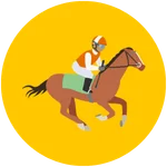 Horse Racing Betting